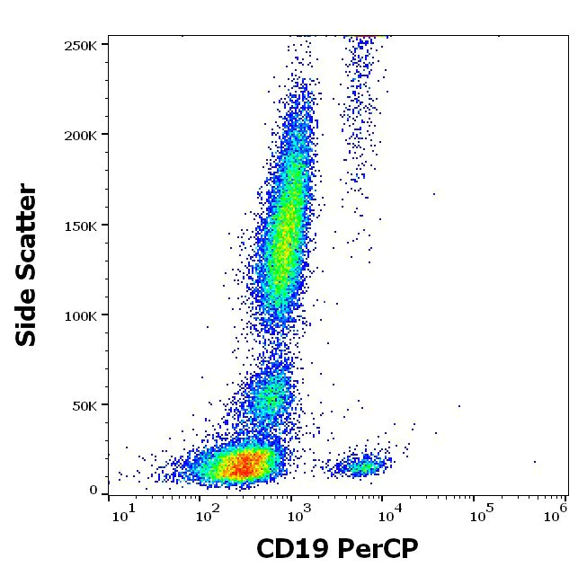 Flow Cytometry - PerCP Anti-CD19 antibody [LT19] (AB239301)