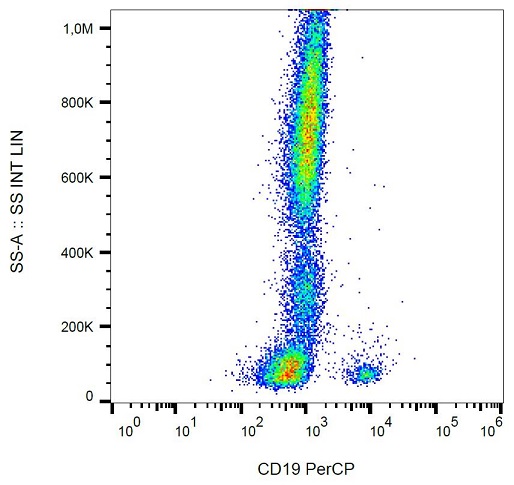 Flow Cytometry - PerCP Anti-CD19 antibody [LT19] (AB239301), expandable thumbnail