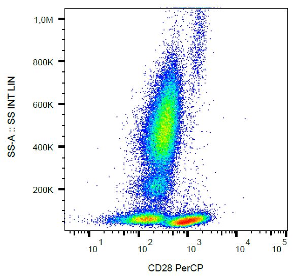 Flow Cytometry - PerCP Anti-CD28 antibody [CD28.2] (AB88034), expandable thumbnail