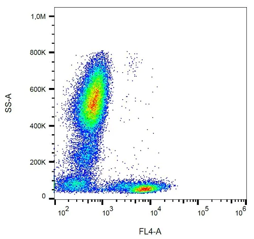 Flow Cytometry - PerCP Anti-CD5 antibody [L17F12] (AB233578)