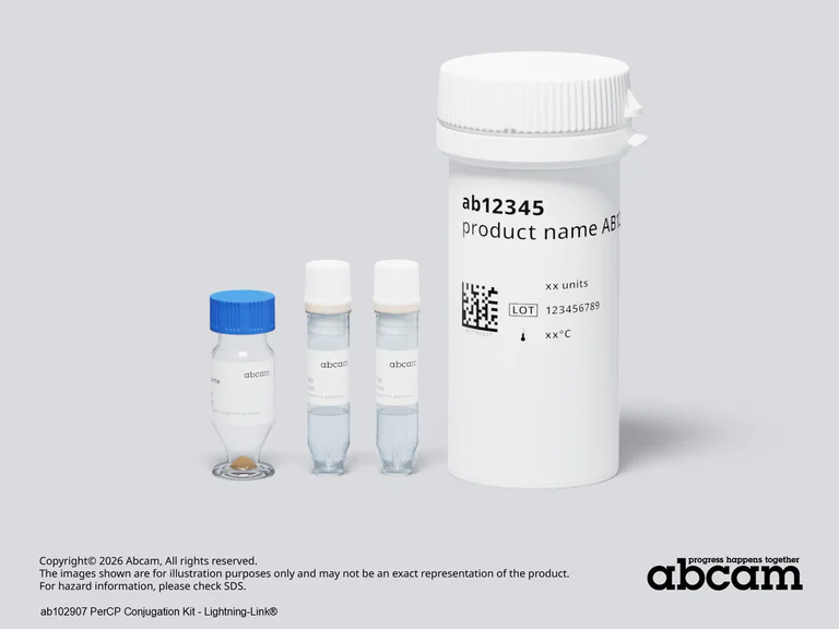 Other - PerCP Conjugation Kit - Lightning-Link® (AB102907)