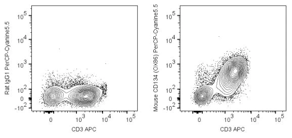 Flow Cytometry - PerCP/Cy5.5® Anti-CD134 / OX40L receptor antibody [OX-86] (AB272251)