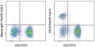 Flow Cytometry - PerCP/Cy5.5® Anti-CD19 antibody [SJ25C1] (AB155357)