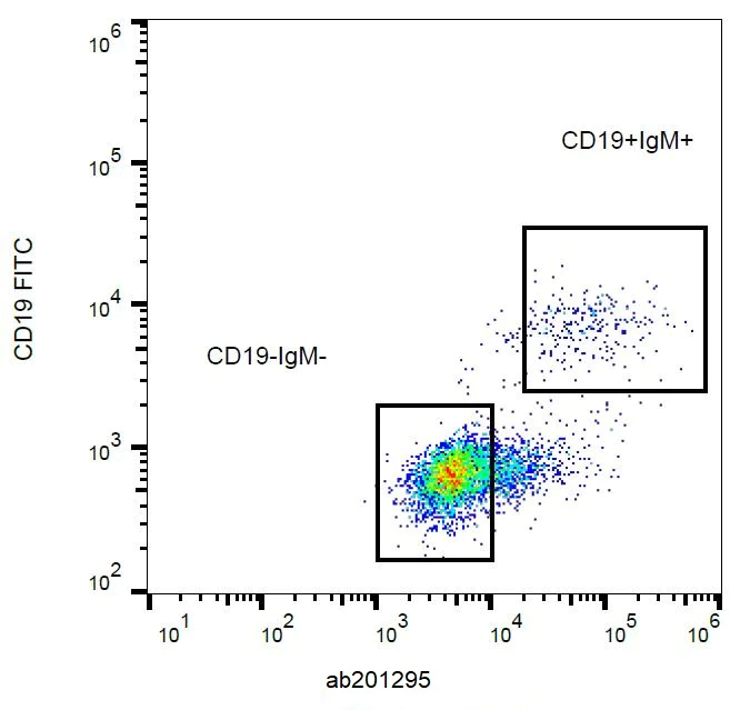 Flow Cytometry - PerCP/Cy5.5® Anti-Human IgM antibody [CH2] (AB201295)