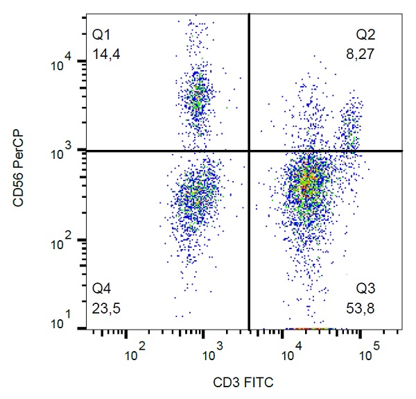 Flow Cytometry - PerCP Anti-NCAM1 antibody [LT56] (AB234222)