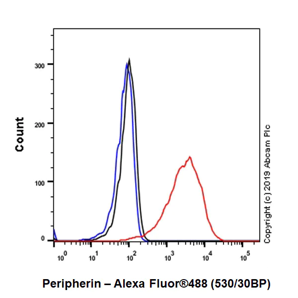 Flow Cytometry (Intracellular) - Anti-Peripherin antibody [EPR23445-28] - BSA and Azide free (AB269861)
