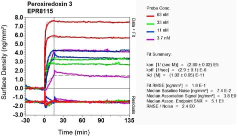 OI-RD Scanning - Anti-Peroxiredoxin 3/PRDX3 antibody [EPR8115] (AB128953)