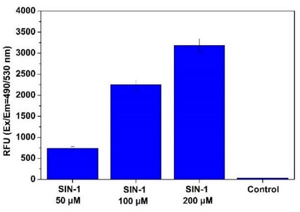 Functional Studies - Peroxynitrite Assay Kit (Cell-based) (AB233468)