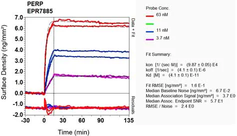 OI-RD Scanning - Anti-PERP antibody [EPR7885] (AB129083)