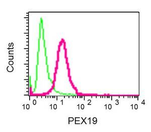 Flow Cytometry (Intracellular) - Anti-PEX19 antibody [EPR9266(B)] - BSA and Azide free (AB232421), expandable thumbnail