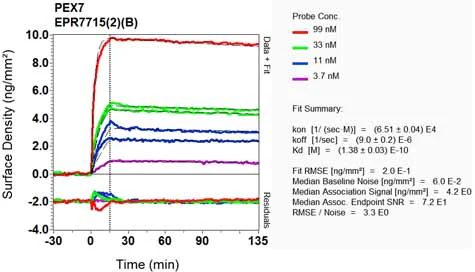 OI-RD Scanning - Anti-PEX7 antibody [EPR7715(2)(B)] - BSA and Azide free (AB248640)