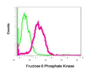 Flow Cytometry (Intracellular) - Anti-PFKM antibody [EPR10734(B)] (AB154804)