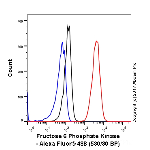 Flow Cytometry (Intracellular) - Anti-PFKM antibody [EPR10734(B)] (AB154804), expandable thumbnail