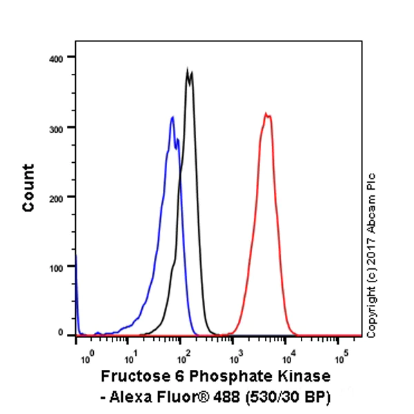 Flow Cytometry (Intracellular) - Anti-PFKM antibody [EPR10734(B)] (AB154804)