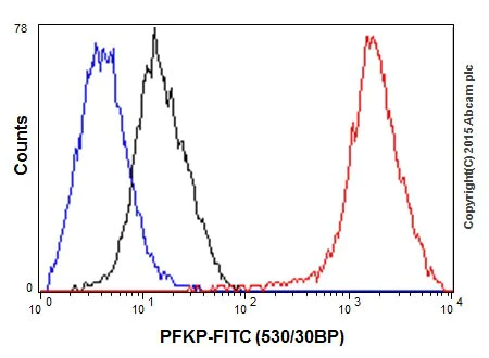 Flow Cytometry (Intracellular) - Anti-PFKM + PFKP antibody [EPR17314] (AB204131)