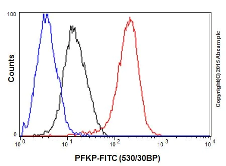 Flow Cytometry (Intracellular) - Anti-PFKM + PFKP antibody [EPR17314] (AB204131)