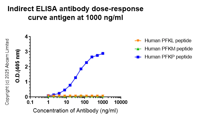 Indirect ELISA - Anti-PFKP antibody [EPR28830-157] (AB325016)