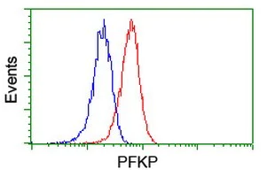 Flow Cytometry (Intracellular) - Anti-PFKP antibody [OTI1D6] (AB119796)