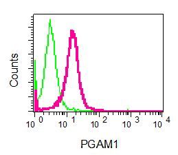 Flow Cytometry (Intracellular) - Anti-PGAM1 antibody [EPR8042] - BSA and Azide free (AB248342), expandable thumbnail
