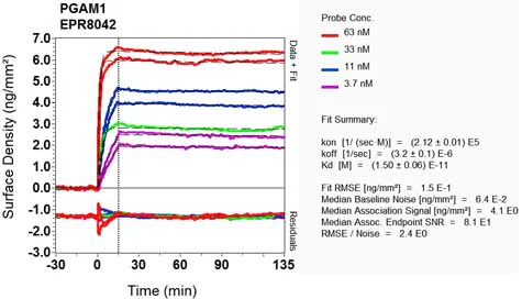 OI-RD Scanning - Anti-PGAM1 antibody [EPR8042] - BSA and Azide free (AB248342)
