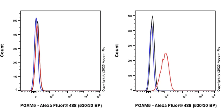 Flow Cytometry (Intracellular) - Anti-PGAM5 antibody [EPR27145-82] - BSA and Azide free (AB308450)