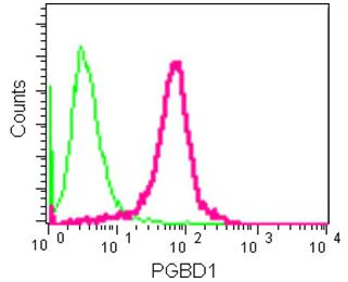 Flow Cytometry (Intracellular) - Anti-PGBD1 antibody [EPR13883] - BSA and Azide free (AB250242)