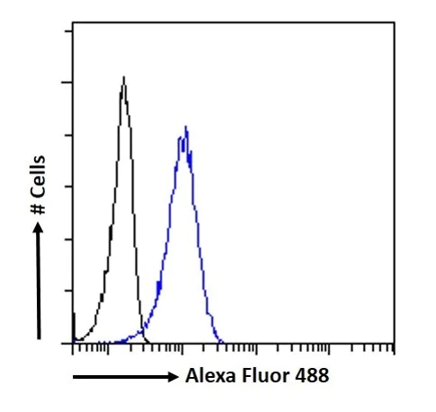 Flow Cytometry (Intracellular) - Anti-PGC1 alpha antibody (AB317540)