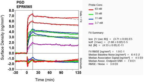 OI-RD Scanning - Anti-PGD antibody [EPR6565] (AB129199)