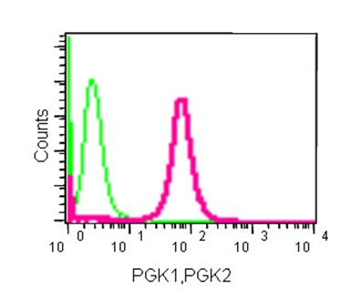 Flow Cytometry (Intracellular) - Anti-PGK1 + PGK2 antibody [EPR14908] (AB186742), expandable thumbnail