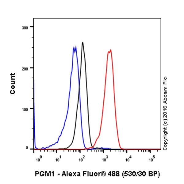 Flow Cytometry (Intracellular) - Anti-PGM1 antibody [EPR15241] - BSA and Azide free (AB251158), expandable thumbnail