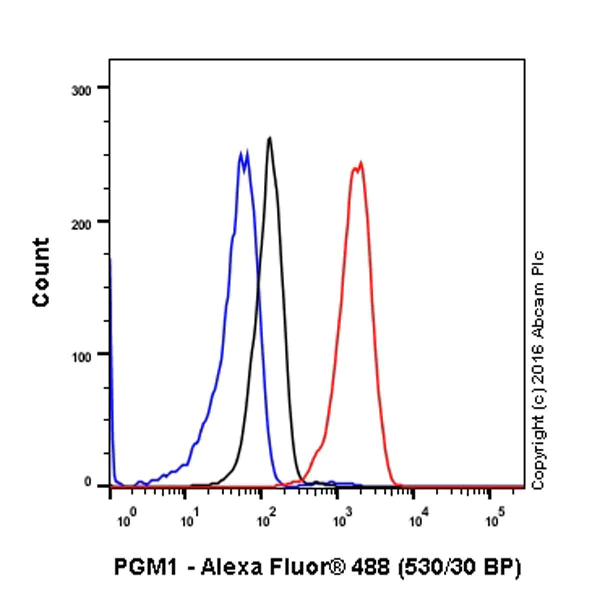 Flow Cytometry (Intracellular) - Anti-PGM1 antibody [EPR15241] - BSA and Azide free (AB251158)