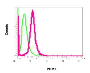 Flow Cytometry (Intracellular) - Anti-PGM2 antibody [PGM2] (AB154180), expandable thumbnail
