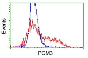 Flow Cytometry (Intracellular) - Anti-PGM3 antibody [OTI1A11] (AB128094)