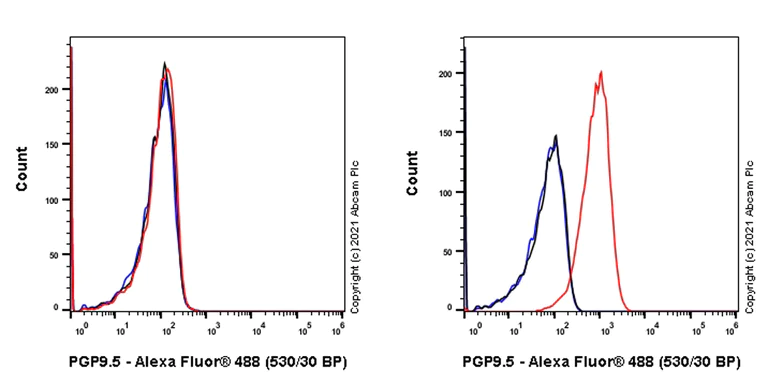 Flow Cytometry (Intracellular) - Anti-PGP9.5 antibody [346CT2.5.1] - Neuronal Marker (AB86808)