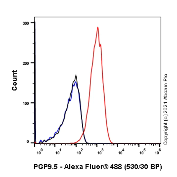 Flow Cytometry (Intracellular) - Anti-PGP9.5 antibody [346CT2.5.1] - Neuronal Marker (AB86808)