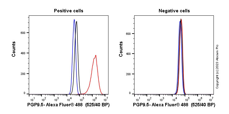 Flow Cytometry (Intracellular) - Anti-PGP9.5 antibody [EPR4118] - Neuronal Marker (ab108986), expandable thumbnail