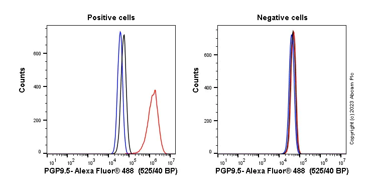 Flow Cytometry (Intracellular) - Anti-PGP9.5 antibody [EPR4118] - Neuronal Marker (AB108986)