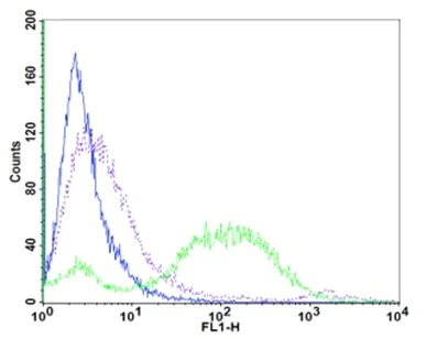 Flow Cytometry - Phagocytosis Assay Kit (Green E.coli) (AB235900)