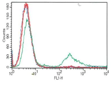 Functional Studies - Phagocytosis Assay Kit (Green Zymosan) (AB234053)