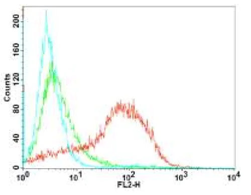 Flow Cytometry - Phagocytosis Assay Kit (Red E. coli) (AB235901)