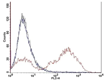 Functional Studies - Phagocytosis Assay Kit (Red Zymosan) (AB234054)