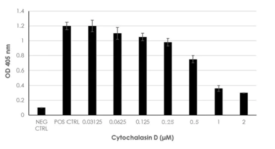 Functional Studies - Phagocytosis Assay Kit (Zymosan, Colorimetric) (AB211156)
