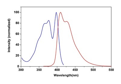 Fluorescence Microscopy - Phalloidin-iFluor 405 Reagent (AB176752), expandable thumbnail