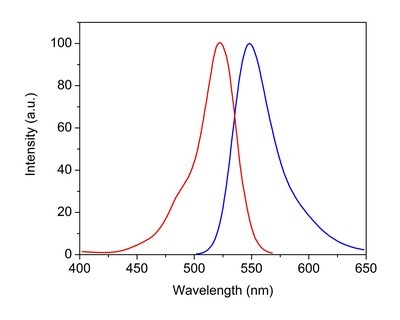 Fluorescence Microscopy - Phalloidin-iFluor 514 Reagent (AB176754), expandable thumbnail