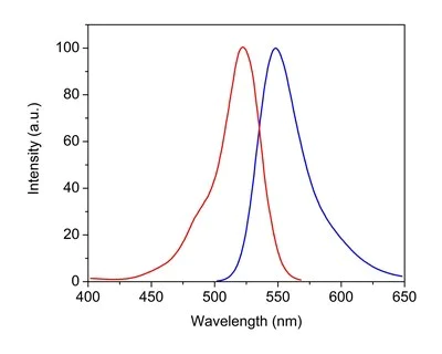 Fluorescence Microscopy - Phalloidin-iFluor 514 Reagent (AB176754)