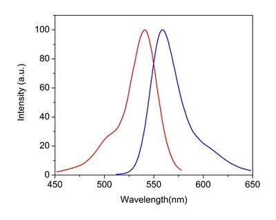Fluorescence Microscopy - Phalloidin-iFluor 532 Reagent (AB176755), expandable thumbnail