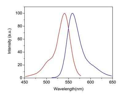 Fluorescence Microscopy - Phalloidin-iFluor 532 Reagent (AB176755)