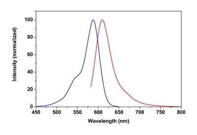 Fluorescence Microscopy - Phalloidin-iFluor 594 Reagent (AB176757), expandable thumbnail