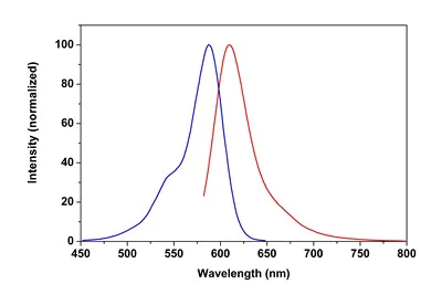 Fluorescence Microscopy - Phalloidin-iFluor 594 Reagent (AB176757)