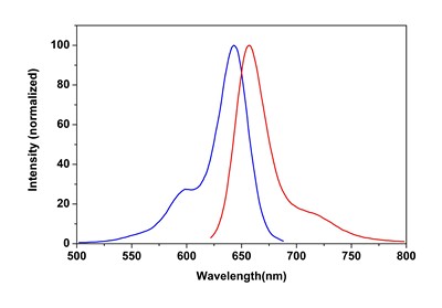 Fluorescence Microscopy - Phalloidin-iFluor 633 Reagent (AB176758), expandable thumbnail